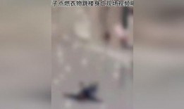 杭州被爆料男子死亡视频,真相与反思
